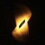 Orange Translucent Light Writer with paintbrush effect for Calligraphy