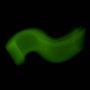 Bouteille opaque avec filtre vert. Effets Light Painting fumée et vapeur