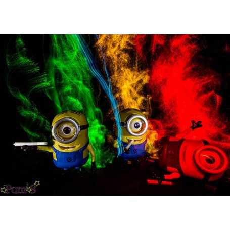 Painting "Rasta Minion" by Ohdrey Pom's. Size: 100 cm per 70 cm.
