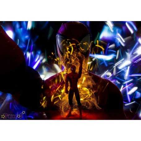 Tableau "Spider Light" by Ohdrey Pom's. Format 100cm par 70cm.