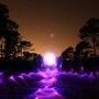 Epée ou sabre lumineux rose Light Graff. Effets drapé et flamme