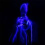 Blue Fiber Optic Light painting smoke effect. Full length diffusion