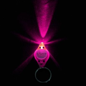 Scripter LED rose LightPainting